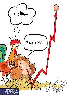 قیمت تخم‌مرغ چقدر بالا می‌رود؟